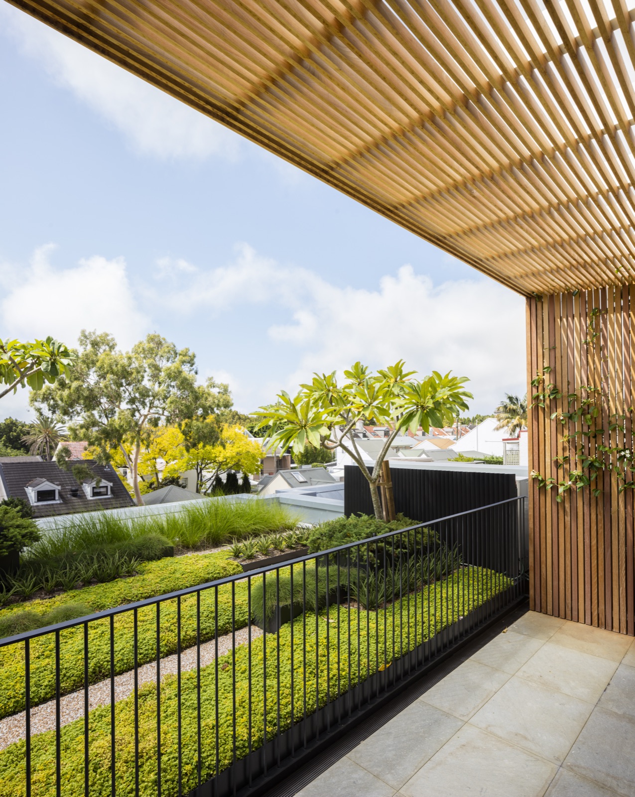 Eastern Suburbs House — dining and lounge with walnut joinery